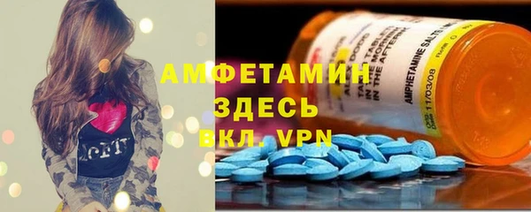 индика Алзамай