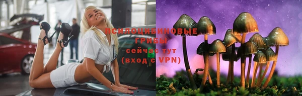 соль ск Алексеевка