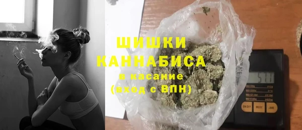 индика Алзамай