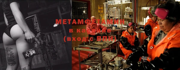 индика Алзамай