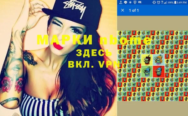 индика Алзамай