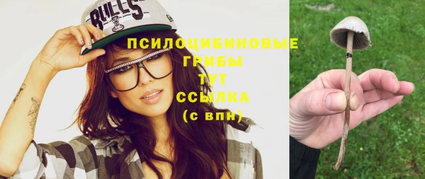 соль ск Алексеевка