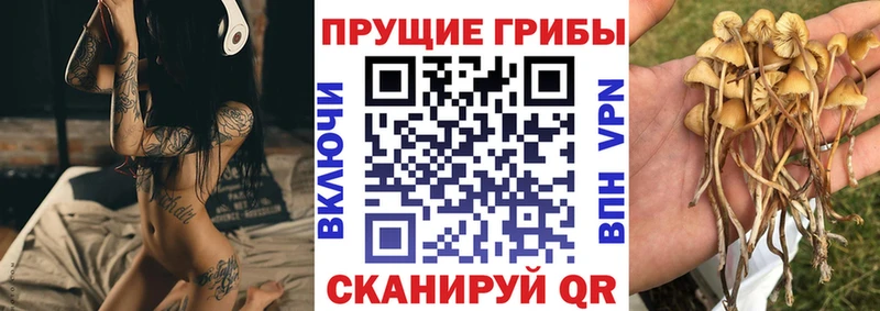Галлюциногенные грибы Magic Shrooms  что такое   Богучар 